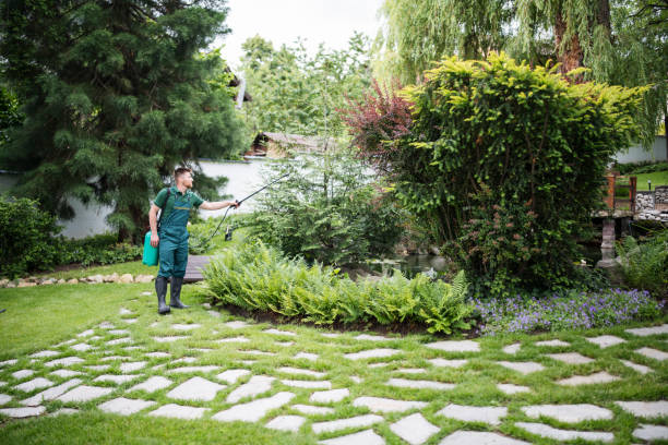 Best Pest Removal Services  in Black Forest, CO
