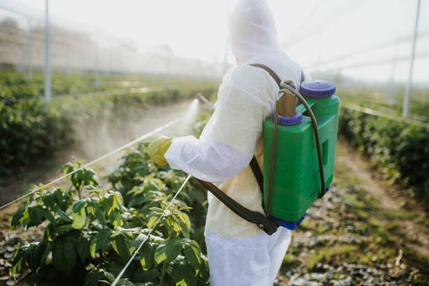 Professional Pest Control in Black Forest, CO